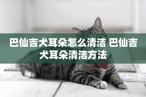 巴仙吉犬耳朵怎么清潔 巴仙吉犬耳朵清潔方法