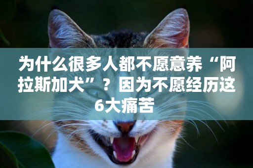 為什么很多人都不愿意養“阿拉斯加犬”？因為不愿經歷這6大痛苦 