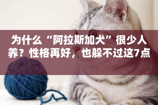 為什么“阿拉斯加犬”很少人養？性格再好，也躲不過這7點 