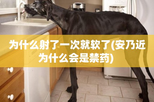 為什么射了一次就軟了(安乃近為什么會是禁藥) 