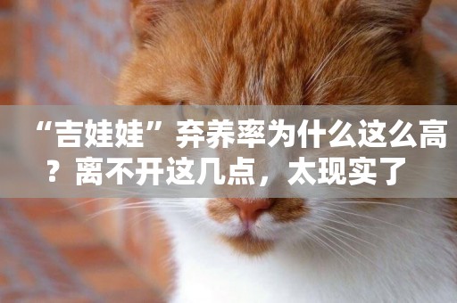 “吉娃娃”棄養率為什么這么高？離不開這幾點，太現實了 
