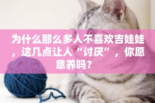 為什么那么多人不喜歡吉娃娃，這幾點讓人“討厭”，你愿意養嗎？ 