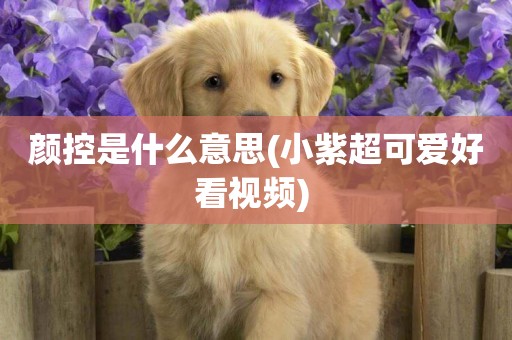 顏控是什么意思(小紫超可愛好看視頻) 