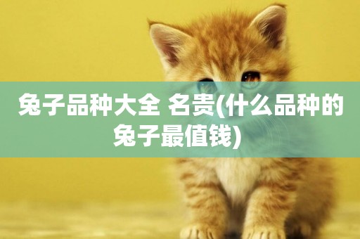 兔子品種大全 名貴(什么品種的兔子最值錢) 