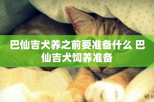 巴仙吉犬養之前要準備什么 巴仙吉犬飼養準備