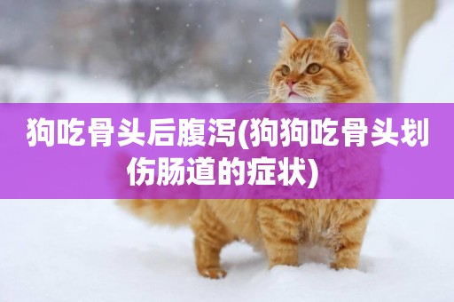 狗吃骨頭后腹瀉(狗狗吃骨頭劃傷腸道的癥狀) 