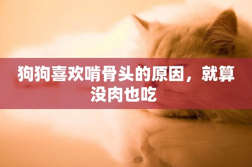 狗狗喜歡啃骨頭的原因，就算沒肉也吃 