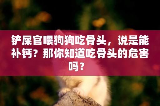 鏟屎官喂狗狗吃骨頭，說是能補鈣？那你知道吃骨頭的危害嗎？ 