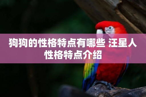 狗狗的性格特點有哪些 汪星人性格特點介紹