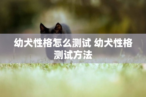 幼犬性格怎么測試 幼犬性格測試方法