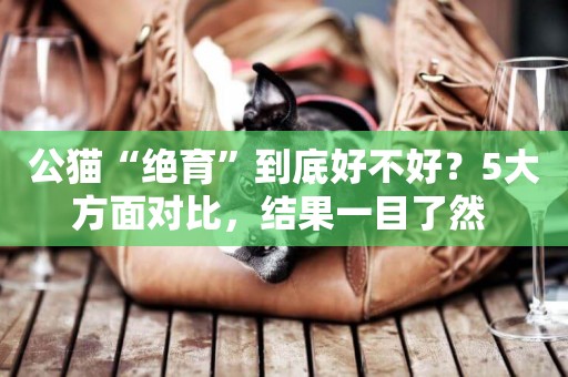 公貓“絕育”到底好不好？5大方面對比，結果一目了然 