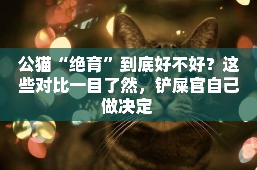 公貓“絕育”到底好不好？這些對比一目了然，鏟屎官自己做決定 