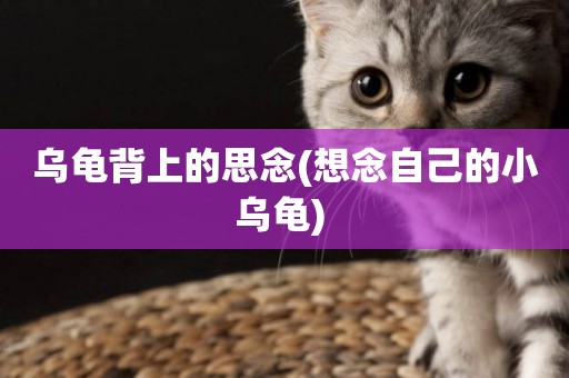 烏龜背上的思念(想念自己的小烏龜) 