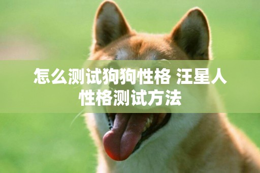 怎么測試狗狗性格 汪星人性格測試方法