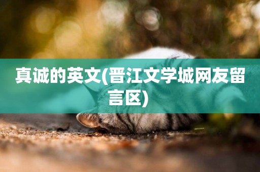 真誠的英文(晉江文學城網友留言區) 