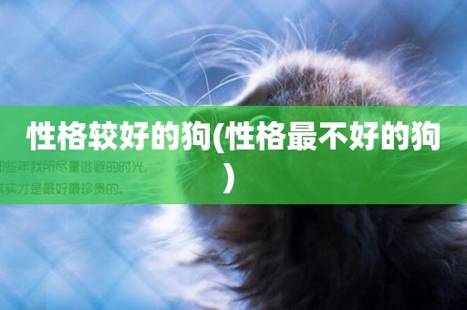 性格較好的狗(性格最不好的狗) 