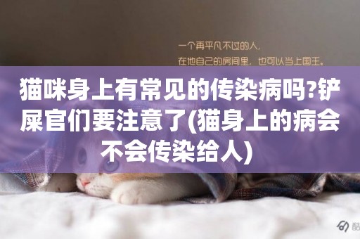 貓咪身上有常見的傳染病嗎?鏟屎官們要注意了(貓身上的病會不會傳染給人) 