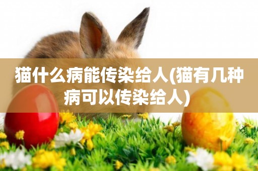 貓什么病能傳染給人(貓有幾種病可以傳染給人) 