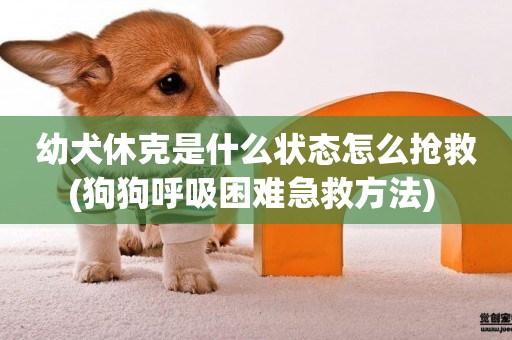 幼犬休克是什么狀態怎么搶救(狗狗呼吸困難急救方法) 