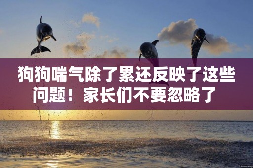 狗狗喘氣除了累還反映了這些問題！家長們不要忽略了 