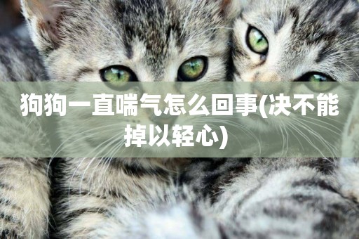 狗狗一直喘氣怎么回事(決不能掉以輕心) 
