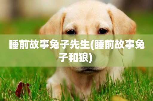 睡前故事兔子先生(睡前故事兔子和狼) 