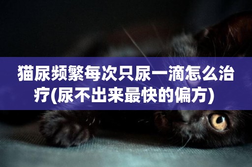 貓尿頻繁每次只尿一滴怎么治療(尿不出來最快的偏方) 