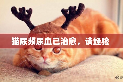 貓尿頻尿血已治愈，談經驗 