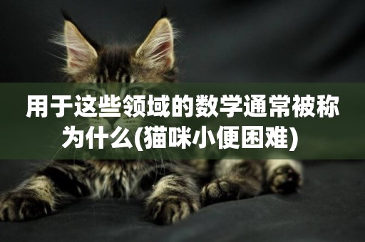 用于這些領域的數學通常被稱為什么(貓咪小便困難) 