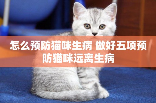 怎么預防貓咪生病 做好五項預防貓咪遠離生病