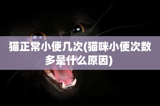 貓正常小便幾次(貓咪小便次數多是什么原因) 