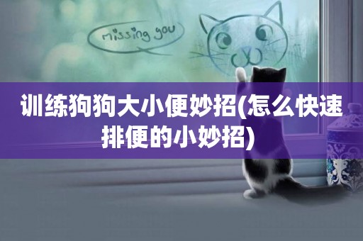 訓練狗狗大小便妙招(怎么快速排便的小妙招) 