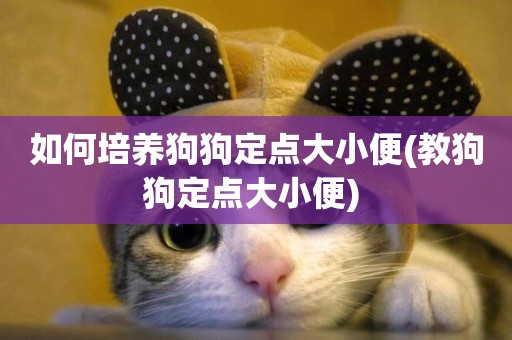 如何培養狗狗定點大小便(教狗狗定點大小便) 