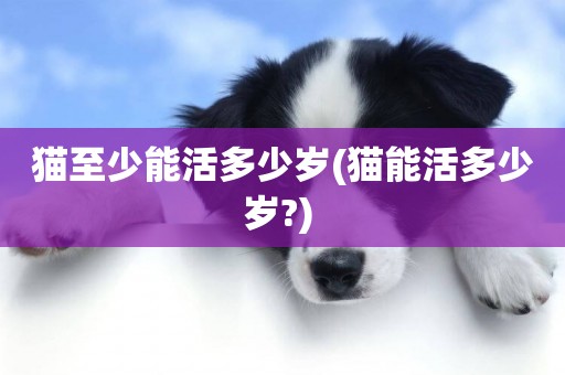 貓至少能活多少歲(貓能活多少歲?) 