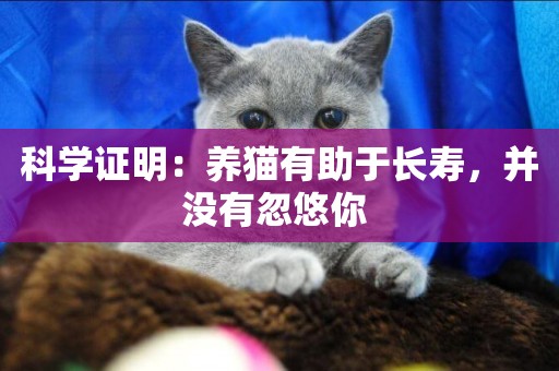 科學證明：養貓有助于長壽，并沒有忽悠你 