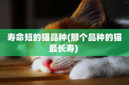 壽命短的貓品種(那個品種的貓最長壽) 