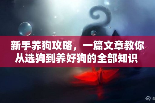新手養狗攻略，一篇文章教你從選狗到養好狗的全部知識 
