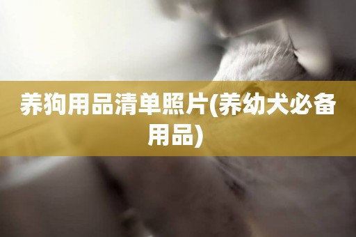 養狗用品清單照片(養幼犬必備用品) 