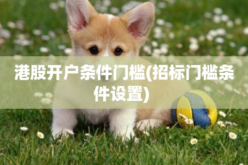 港股開戶條件門檻(招標門檻條件設置) 