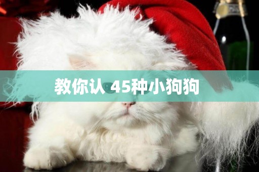 教你認 45種小狗狗 