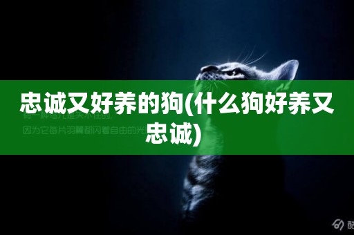忠誠又好養的狗(什么狗好養又忠誠) 