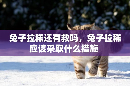 兔子拉稀還有救嗎，兔子拉稀應該采取什么措施 