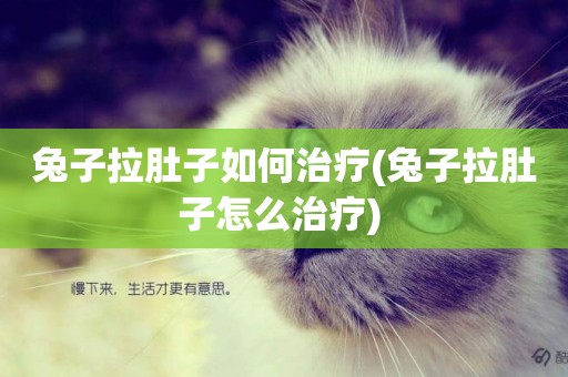 兔子拉肚子如何治療(兔子拉肚子怎么治療) 