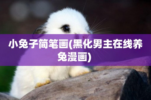 小兔子簡筆畫(黑化男主在線養兔漫畫) 