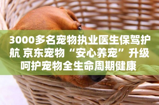 3000多名寵物執業醫生保駕護航 京東寵物“安心養寵”升級呵護寵物全生命周期健康 