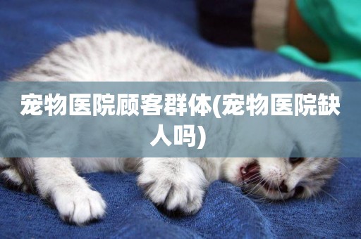 寵物醫院顧客群體(寵物醫院缺人嗎) 