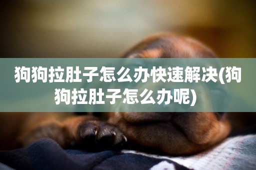 狗狗拉肚子怎么辦快速解決(狗狗拉肚子怎么辦呢) 