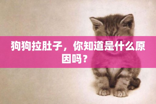狗狗拉肚子，你知道是什么原因嗎？ 