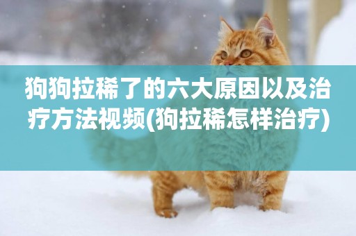 狗狗拉稀了的六大原因以及治療方法視頻(狗拉稀怎樣治療) 