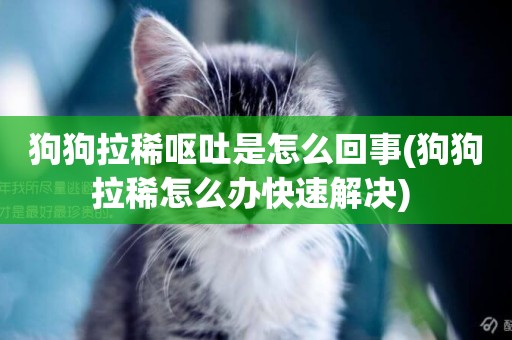狗狗拉稀嘔吐是怎么回事(狗狗拉稀怎么辦快速解決) 